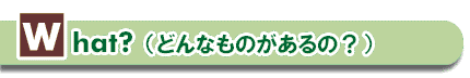 What？（どんなものがあるの？）