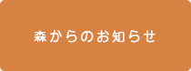 調査研究・技術開発